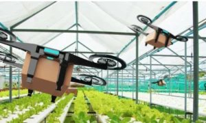 AI’s Impact On American Agriculture